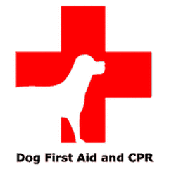 Bob The Dog Trainer is First aid and CPR certified