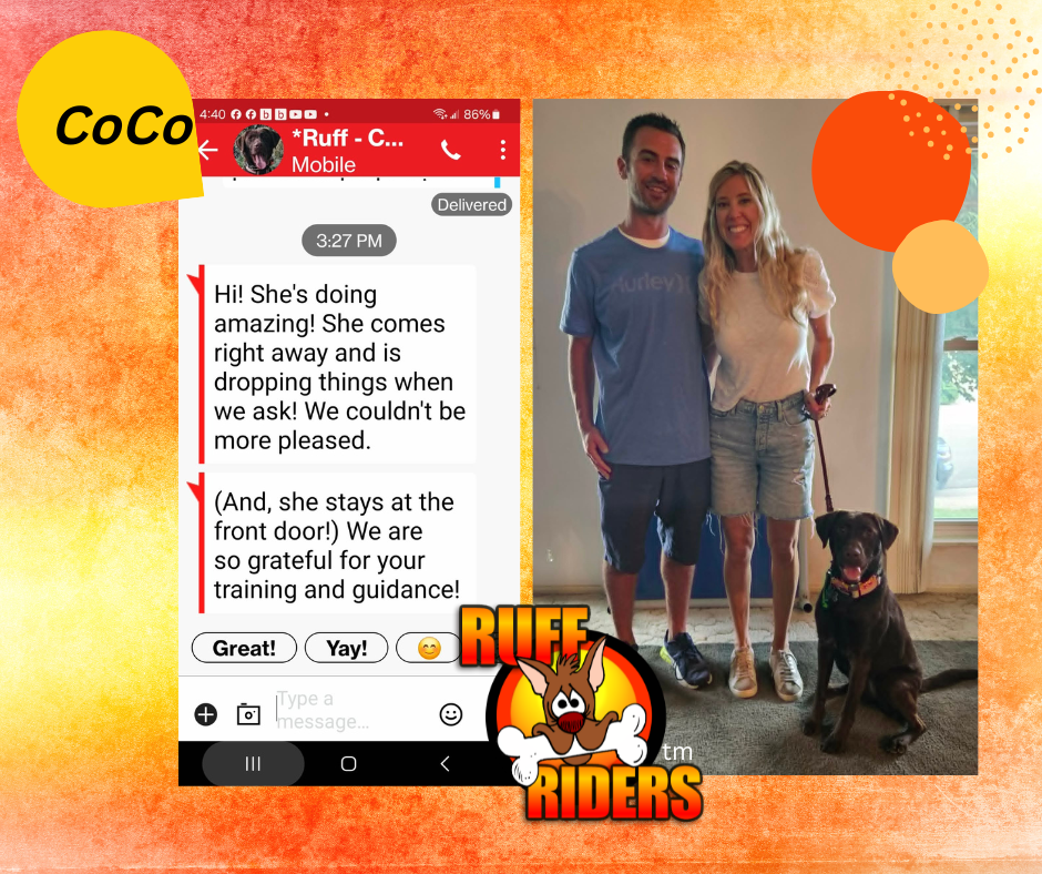 CoCo trained lab